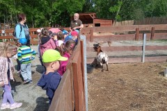 IMG_20250610_094434_1