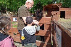 IMG_20250610_094922_1