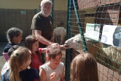 IMG_20250610_095715