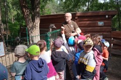 IMG_20250610_100805_1