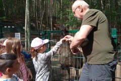 IMG_20250610_100926_1