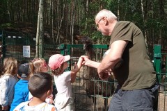 IMG_20250610_100939_1