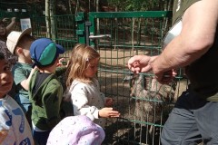 IMG_20250610_101004