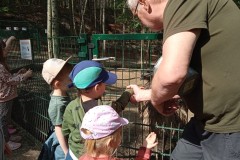 IMG_20250610_101010_1