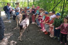 IMG_20250610_101752