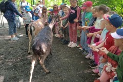 IMG_20250610_101755_1