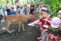 IMG_20250610_101805_1