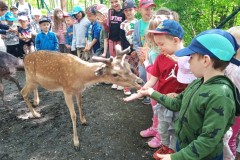 IMG_20250610_101810