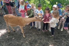 IMG_20250610_101817_1