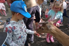 IMG_20250610_101940_1