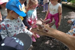 IMG_20250610_101947_1