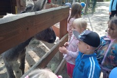 IMG_20250610_102825_1
