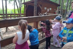 IMG_20250610_102850