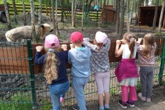 IMG_20250610_104634