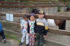 IMG_20250610_105501_1