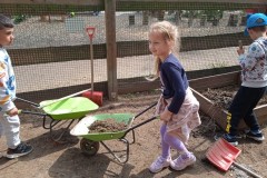 IMG_20250610_110344_1