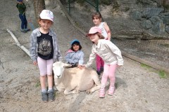 IMG_20250610_110412_1