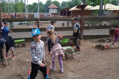 IMG_20250610_110435_1