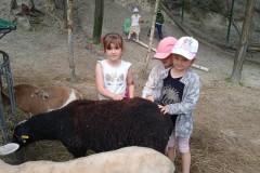IMG_20250610_110503