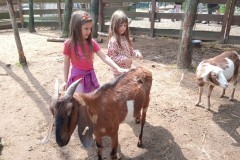 IMG_20250610_110615