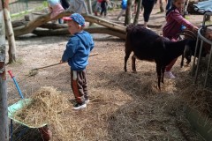 IMG_20250610_110830