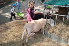 IMG_20250610_111402