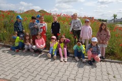 IMG_20250603_105323