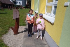 IMG_20250612_103441_1