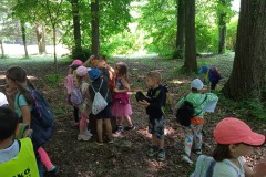 IMG_20250613_102133