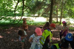 IMG_20250613_103151