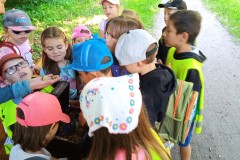 IMG_20250613_103737