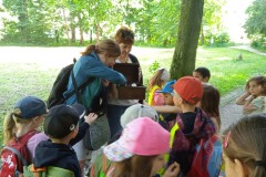 IMG_20250613_103937_1