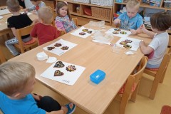 IMG_20241016_095119_1