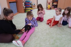IMG_20241113_100221_1