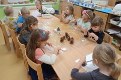 IMG_20241115_084831