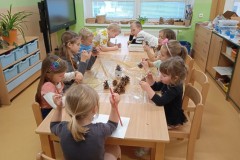 IMG_20241115_084914