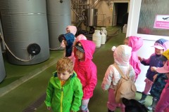 IMG_20260605_085653