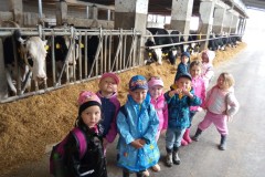 IMG_20260605_091615