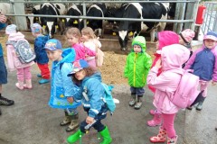 IMG_20260605_092237