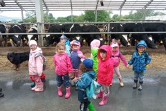 IMG_20260605_092607