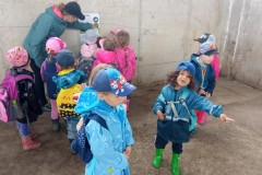 IMG_20260605_095253