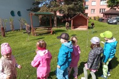 IMG_20250513_094259