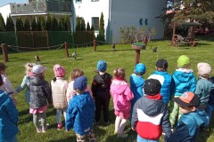 IMG_20250513_094410
