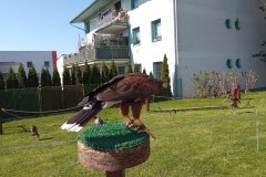 IMG_20250513_094945