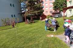 IMG_20250513_094948