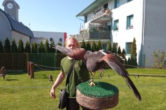 IMG_20250513_095043