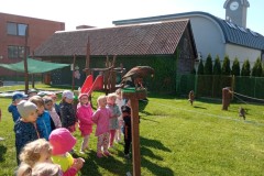 IMG_20250513_095123