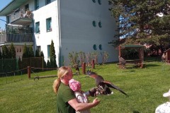 IMG_20250513_095304
