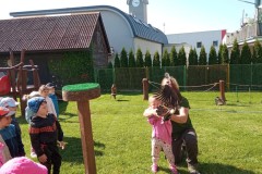 IMG_20250513_095344