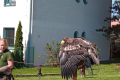 IMG_20250513_100027